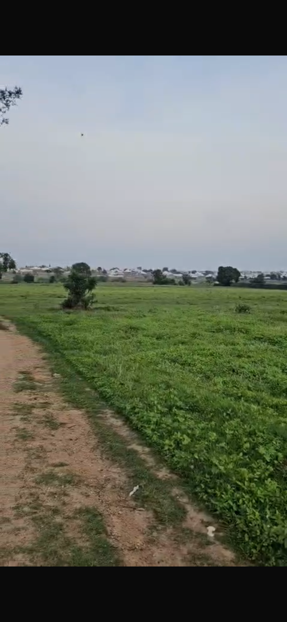 8 Hectares Of Land For Sale